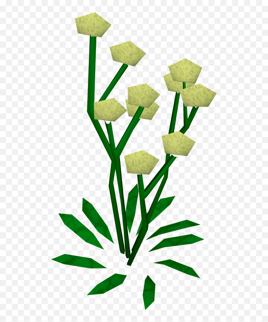 Daffodils - The Runescape Wiki Clip Art Png,Daffodil Png