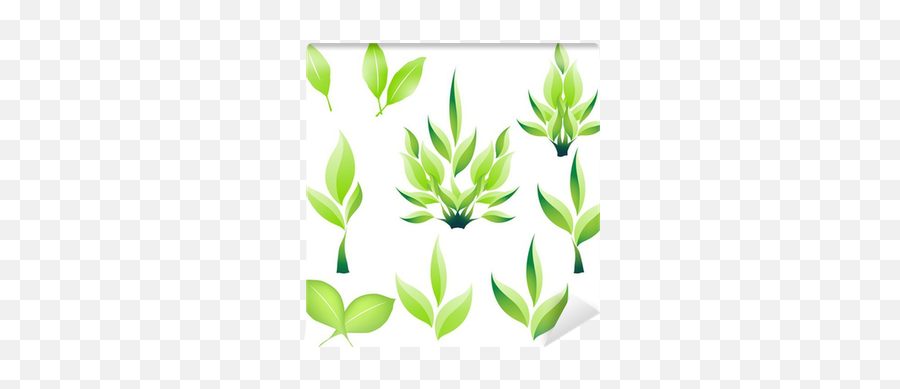 Grenn Leaf Icon - Language Png,Plant Growing Icon