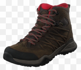 The North Face Womenu0027s Hedgehog Hike Ii Gtx Shoes - Lace Up png