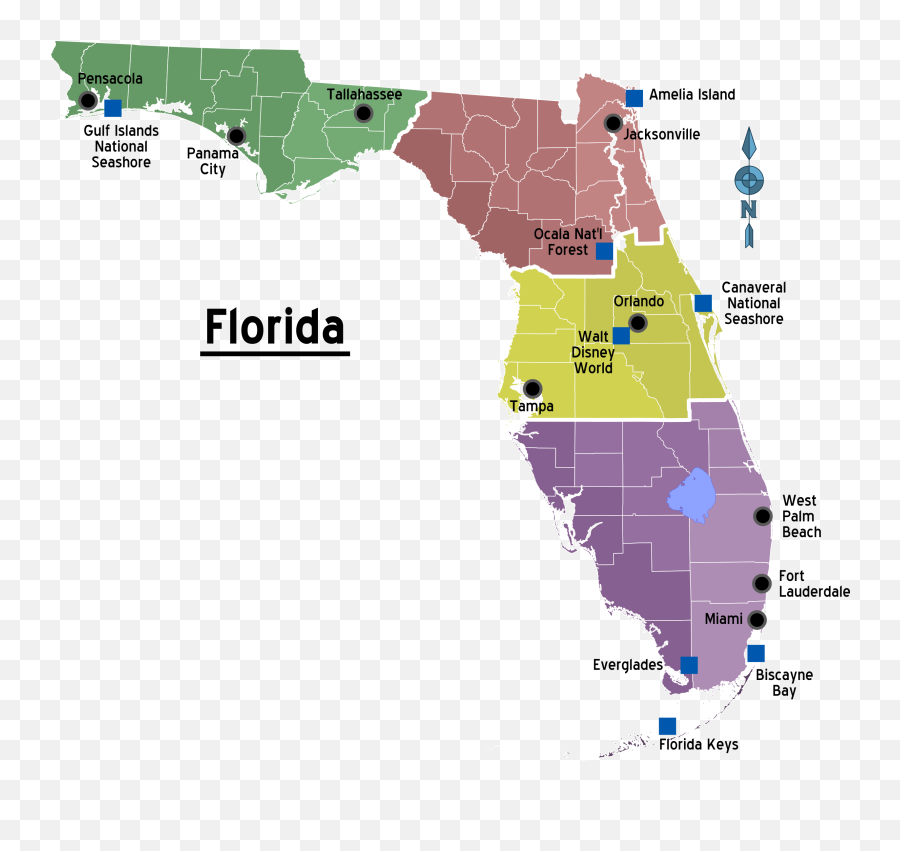 Map Of Florida Regions With Cities - Vibrio Vulnificus Florida Map Png,Florida Map Png
