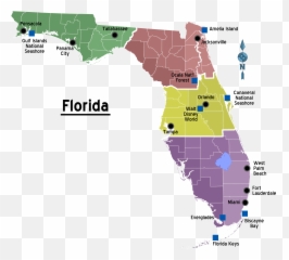 Map Of Florida Regions With Cities - Vibrio Vulnificus Florida Map Png,Florida Map Png