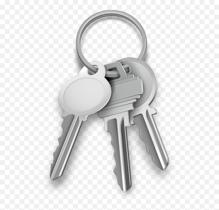 Password Purgatory - Transparent Background Keys Png,Keyring Icon