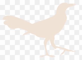 Grackle Media Digital Marketing - Landfowl png