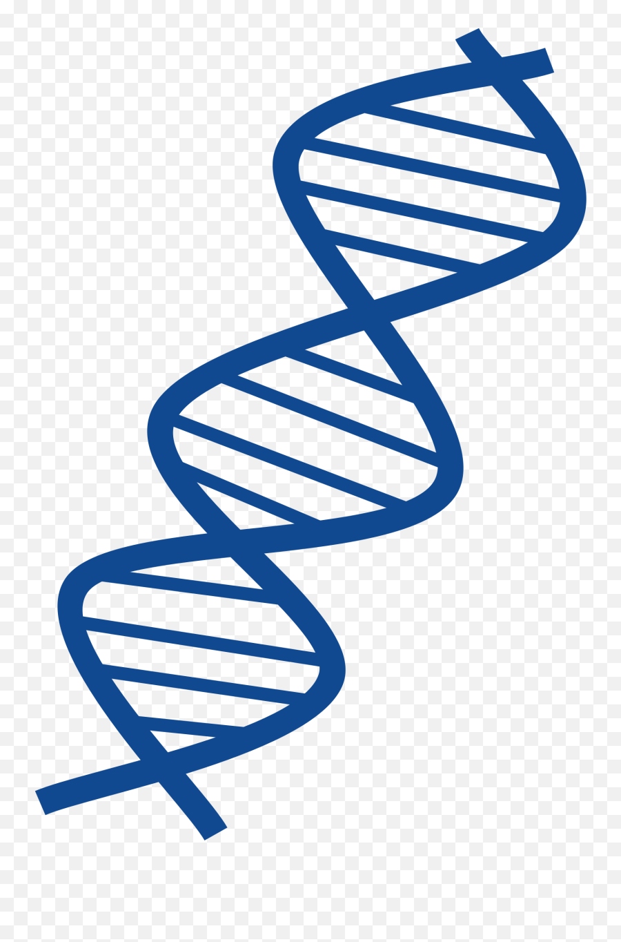 16 Dna Structure Clipart Transparent Background Free Png