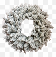 Lit Garland Transparent U0026 Png Clipart Free Download - Ywd White Xmas Wreath Png,Christmas Reef Png