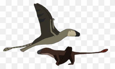 Dinosaur Clipart png download - 1000*797 - Free Transparent Pterodactyl png  Download. - CleanPNG / KissPNG