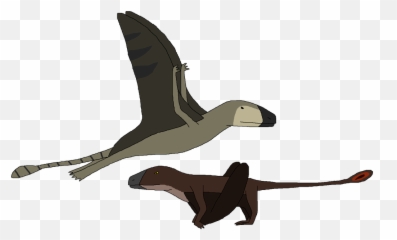 Pterodactyl PNG - Flying Pterodactyl, Pterodactyl Black And White. -  CleanPNG / KissPNG