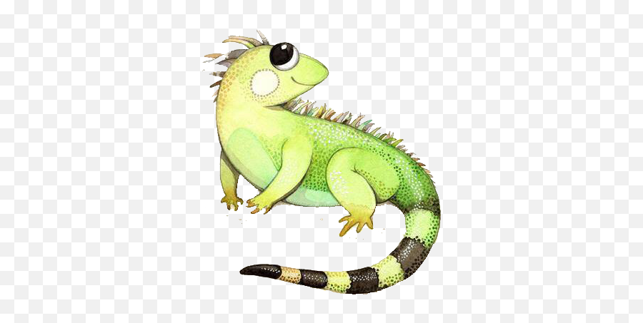 Collection Of Free Reptile Drawing Cute - Iguana Cartoon Cute Reptile Png,Iguana Png