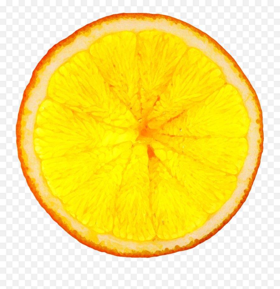 Taste Of Science Png Orange