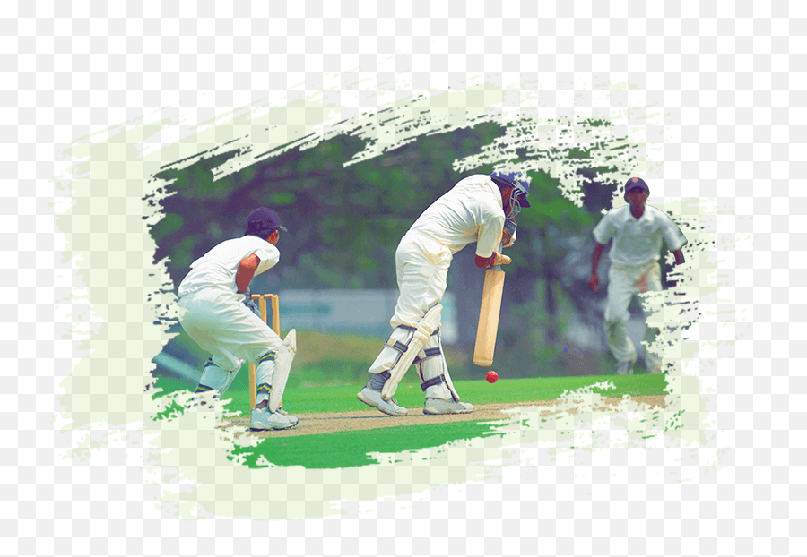 Index Of - Icon Cricket Png,Cricket Png