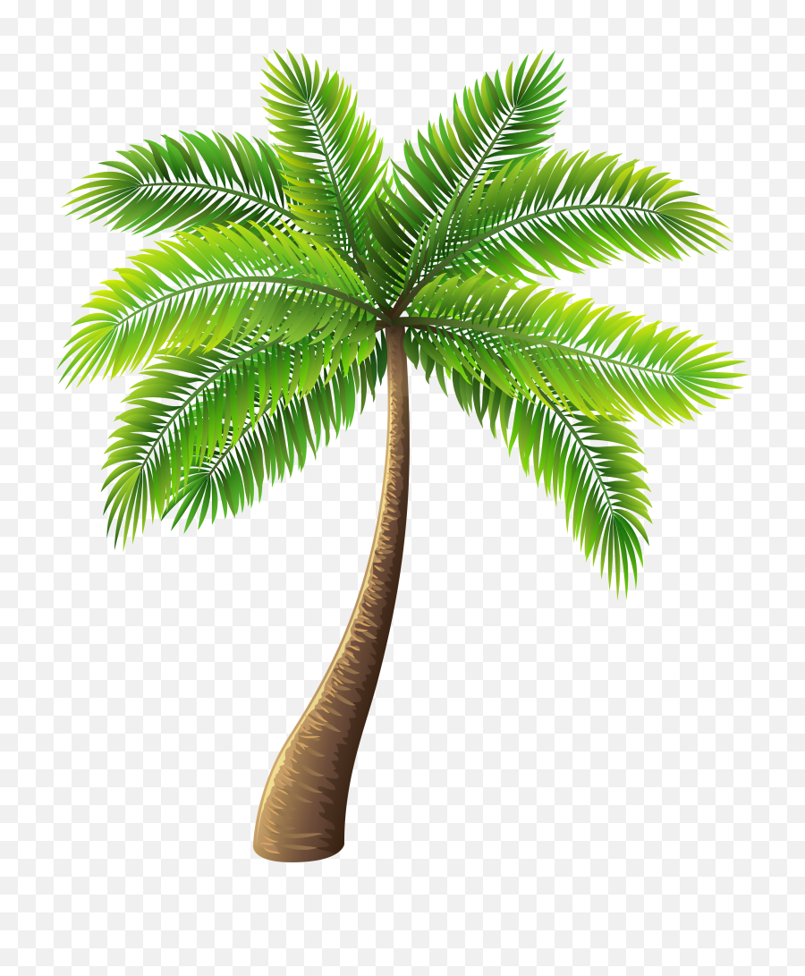 Transparent Cartoon Palm Tree Free Download Clip Art - Palm Tree Transparent Background Png,Transparent Cartoons