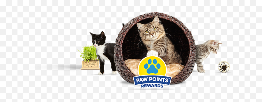 Paw Points Free Cat Rewards Litter Fresh Step - Adoption Png,Cat Paw Png