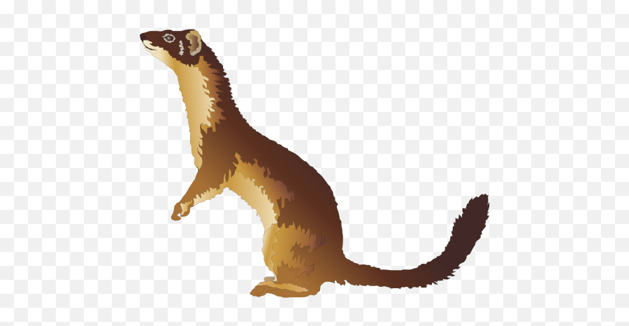 White Stock Png Files - Bat And The Weasels,Weasel Png