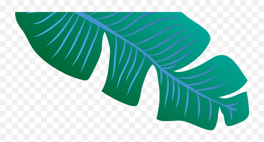 Download Footer Leaf Image - Tree Png Image With No,Banana Leaf Png