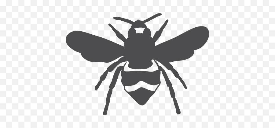 Bee Wing Wasp Stripe Silhouette - Transparent Png U0026 Svg Honeybee ...