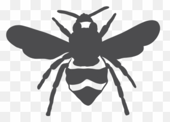 Bee Wing Wasp Stripe Silhouette - Transparent Png U0026 Svg Honeybee,Transparent Bees