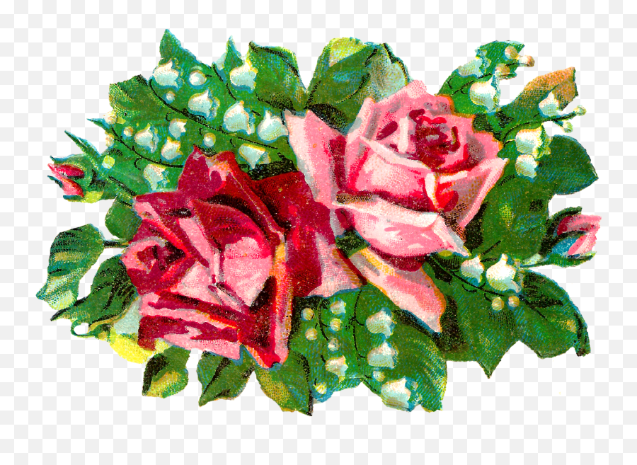 Lily Of The Valley Flower Clip Art - Hybrid Tea Rose Png,Lily Of The Valley Png