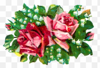 Lily Of The Valley Flower Clip Art - Hybrid Tea Rose Png,Lily Of The Valley Png