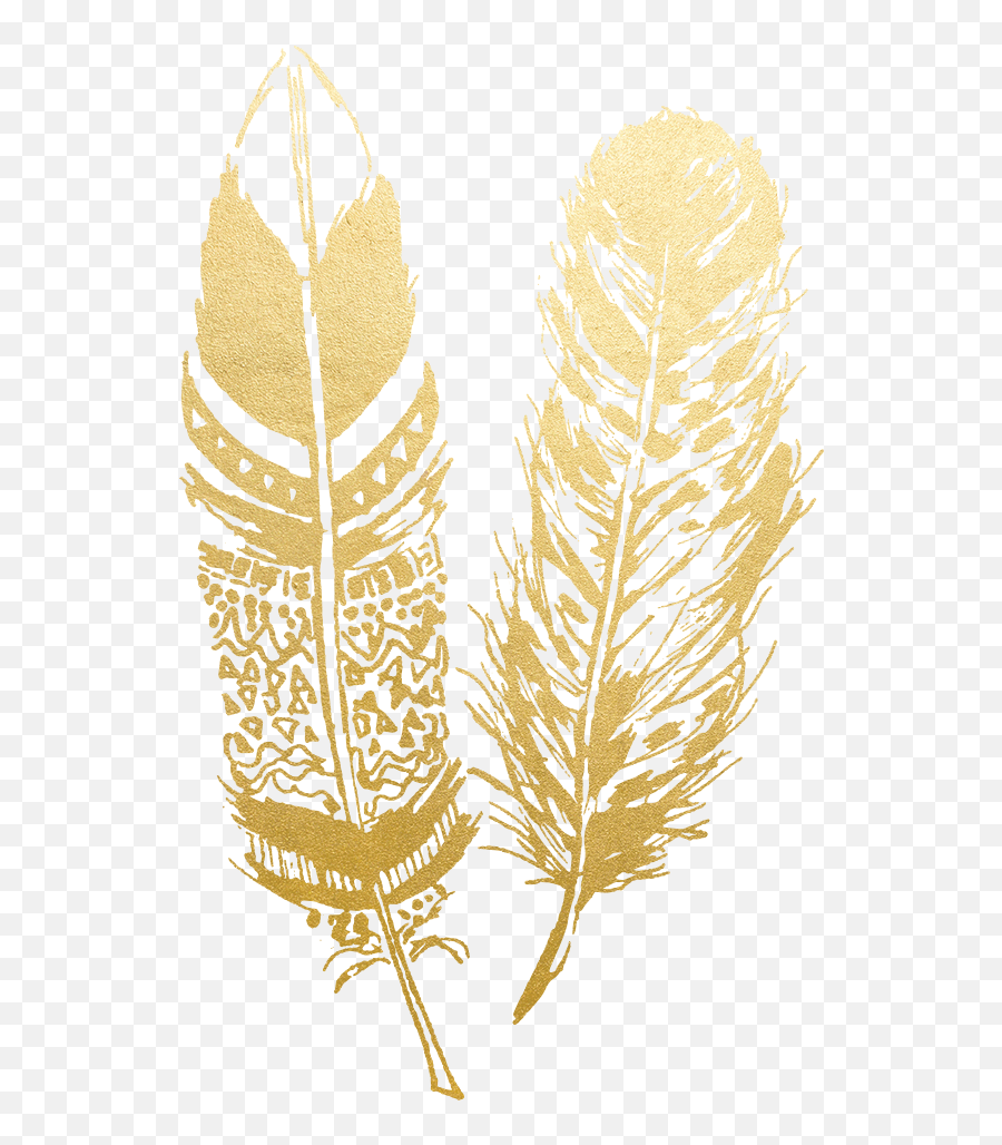 Hd Feather Drawing Boho - Feather Png Gold,Feather Png