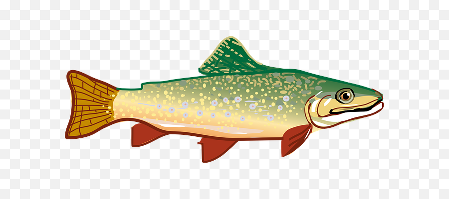 Salmon Trout Clip Art Free Vector 4vector - Wikiclipart Trout Clipart Png,Salmon Png