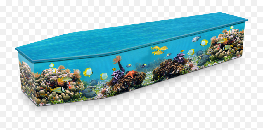 Coral Reef Custom Coffin Design Expression Coffins - Coffin Awesome Png,Coral Reef Png