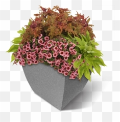 Planter W - Flowerpot Png,Planter Png