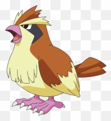 Pidgey - Pokémon Pidgey Png,Pidgey Png
