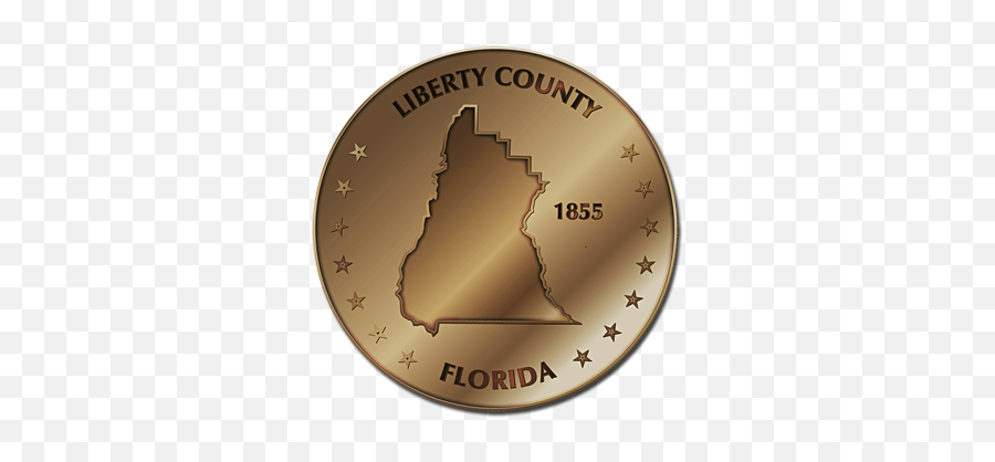 Liberty Fun Style Maps 10 Coinsu2014bronze - Solid Png,Florida Silhouette Png