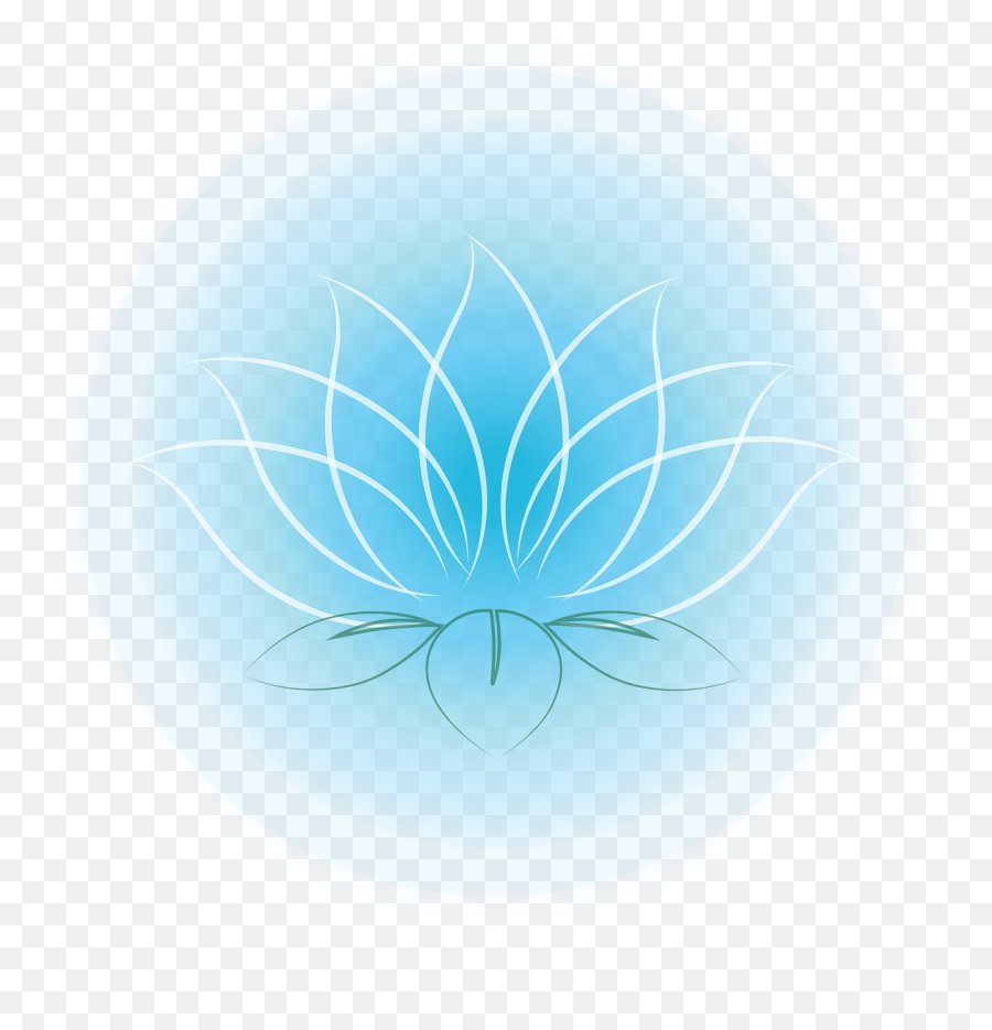 Lotus Png Connections Icon