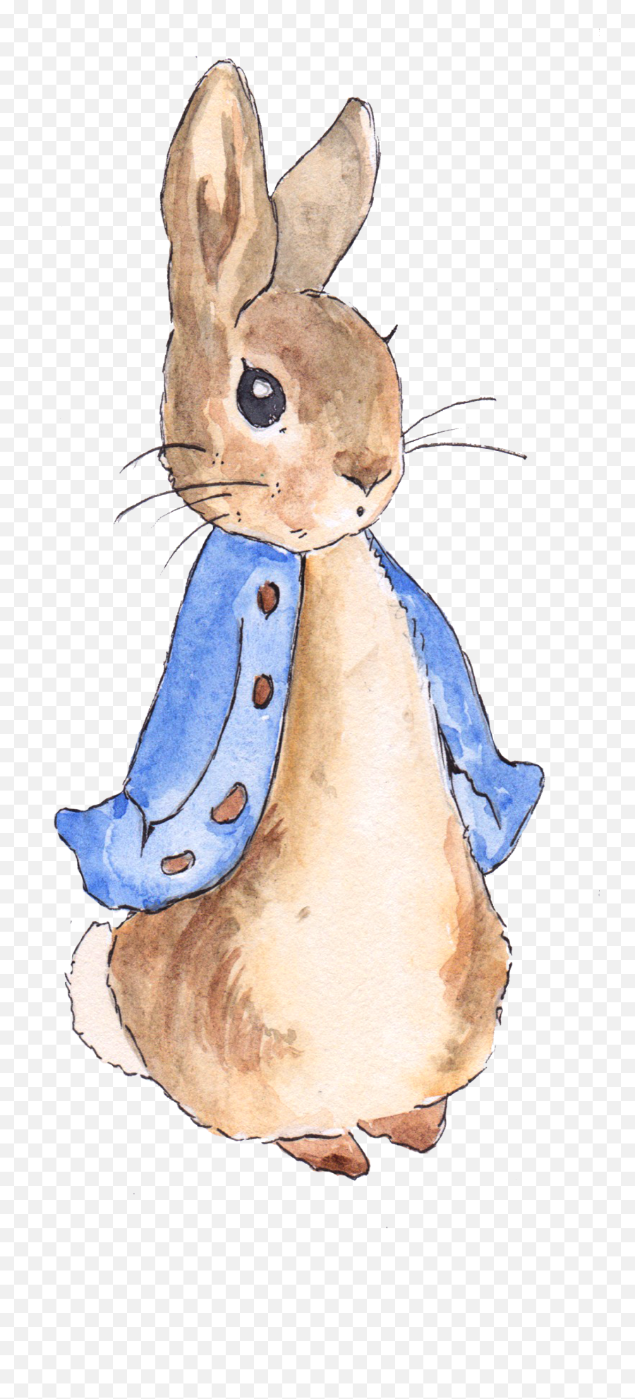 Peter Rabbit - Cute Peter Rabbit Drawing Png,Peter Rabbit Png