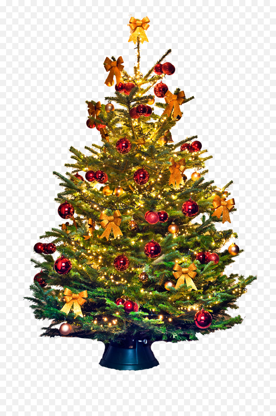 Christmas Tree Png Vector - Christmas Tree,Christmas Vector Png