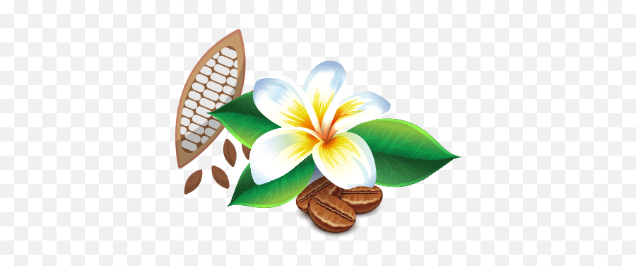 The Farm - Maui Chocolate And Coffee Tours Maui Hawaii Fresh Png,Hawaii Flower Icon