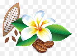 The Farm - Maui Chocolate and Coffee Tours Hawaii Fresh png