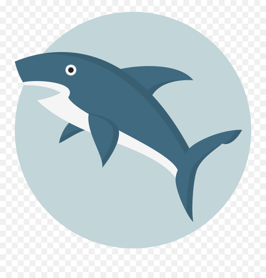 Shark Png Icon 9 - Png Repo Free Png Icons Shark Icon Png,Shark Png