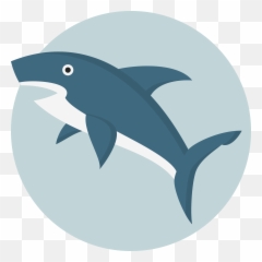 Shark Png Icon 9 - Repo Free Icons Png