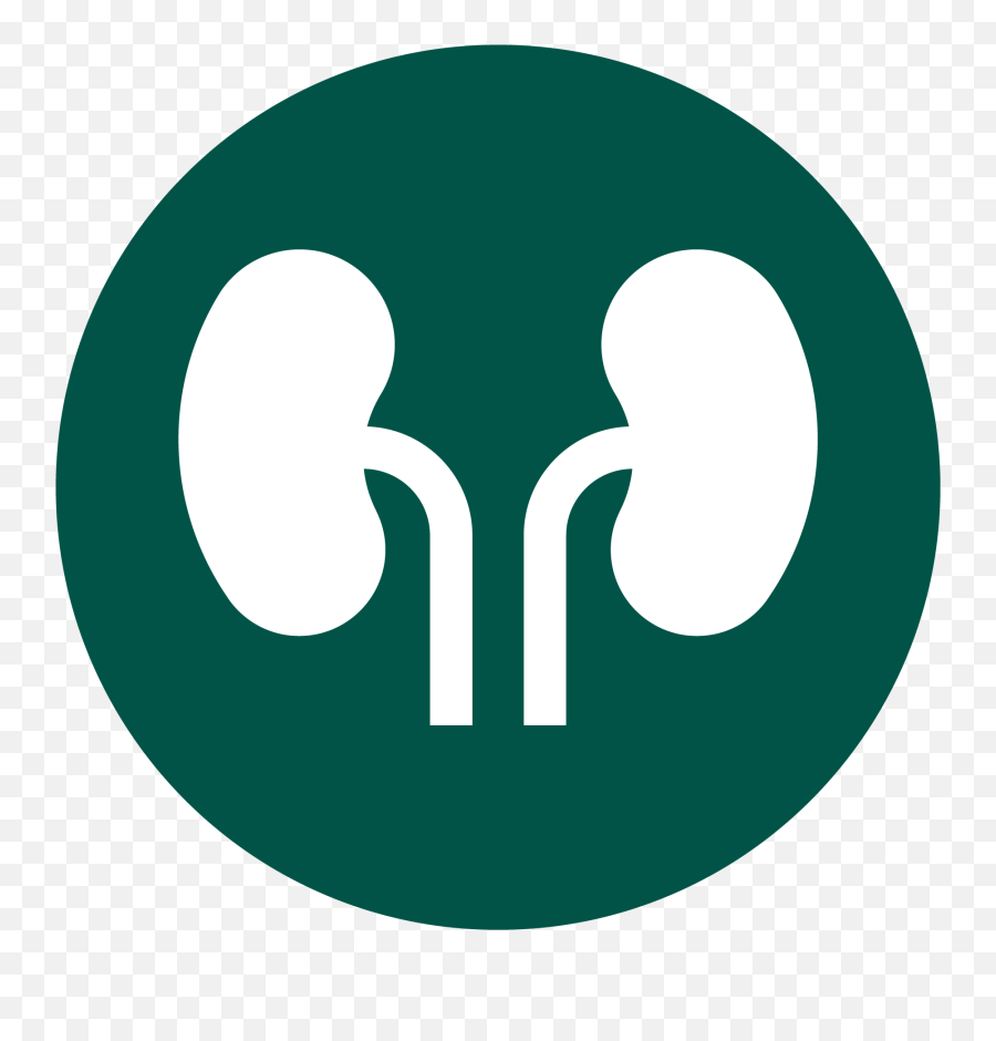 Acute Kidney Injury Archives - Randox Laboratories Dot Png,Dialysis Icon