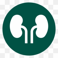 Acute Kidney Injury Archives - Randox Laboratories Dot png