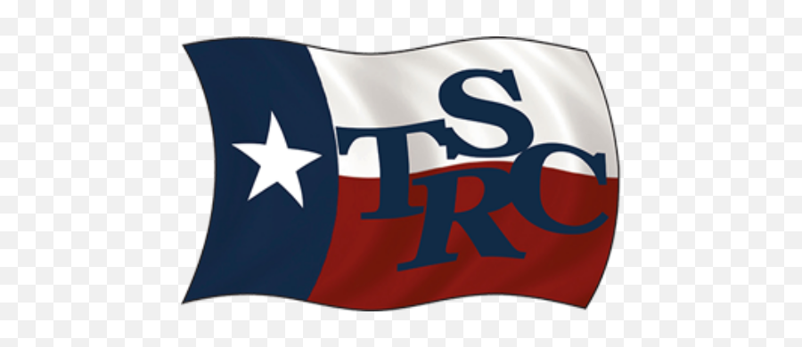 Past President U2013 Texas Society For Respiratory Care - Tsrc Texas Society For Respiratory Care Png,President Icon