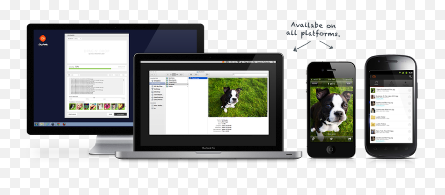 Imageshack - Skypath Technology Applications Png,Imageshack Icon