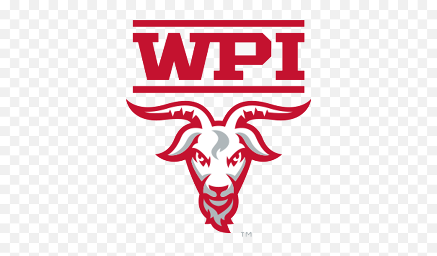American Collegiate Hockey Association Team Stats 2021 - 22 Wpi Goat Png,Pink Mercy Player Icon