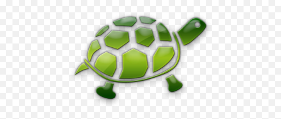 Blog Format U0026 Topics Safara Fisher - Animal Figure Png,Turtle Shell Icon