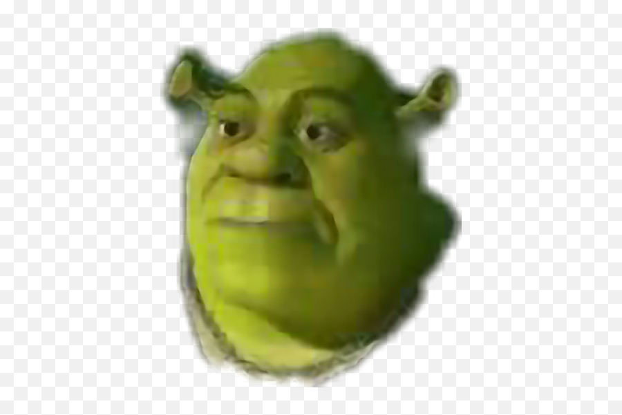 Shrek - Sticker By Nicolasdavini3 Caterpillar Png,Shrek Face Png