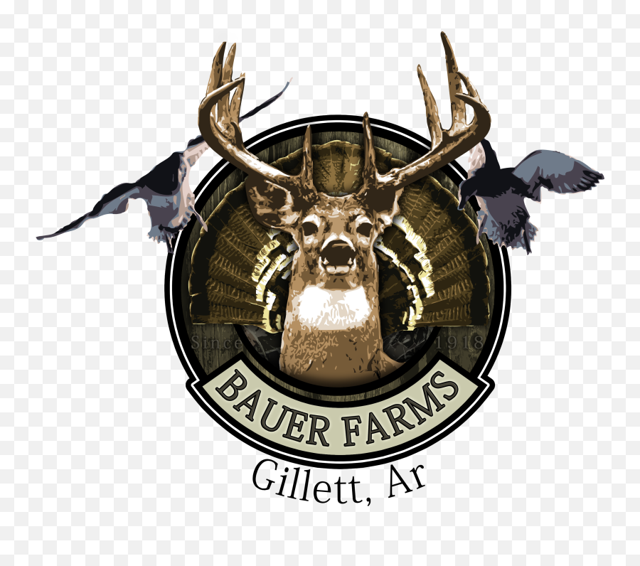 Barbed Hook Logo Design - Transparent Hunting And Fishing Png,Fishing Logos