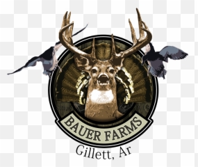 Barbed Hook Logo Design - Transparent Hunting And Fishing Png,Fishing Logos