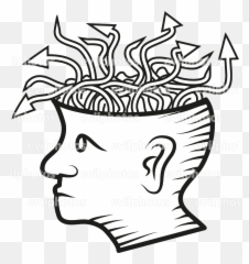Brain Drawing - png