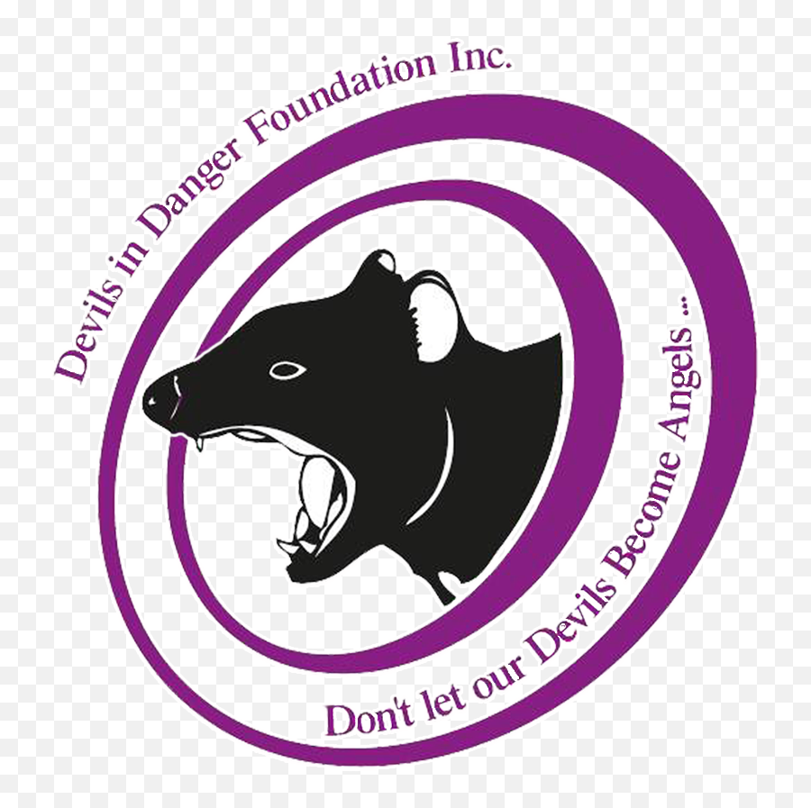 About The Devil - Devils In Danger Foundation Png,Devil Logo