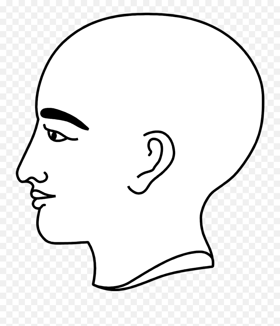 Download Hd Bald Clipart Bold Man - Head Profile Bald Png Profile,Bald Head Png