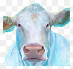 Charolais Cow Painting - Shirt Cattle png