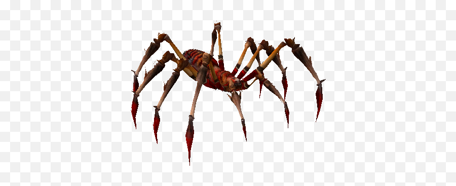 Mean Red Poison Spider - Red Poison Spider Metin2 Png,Spider Png