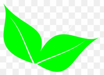 2 Clipart Leaf Transparent Free - Leaves png
